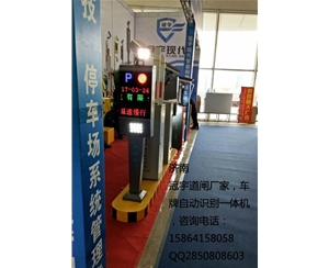 枣庄胶州自动识别车牌系统，胶南智能车牌号系统生产商